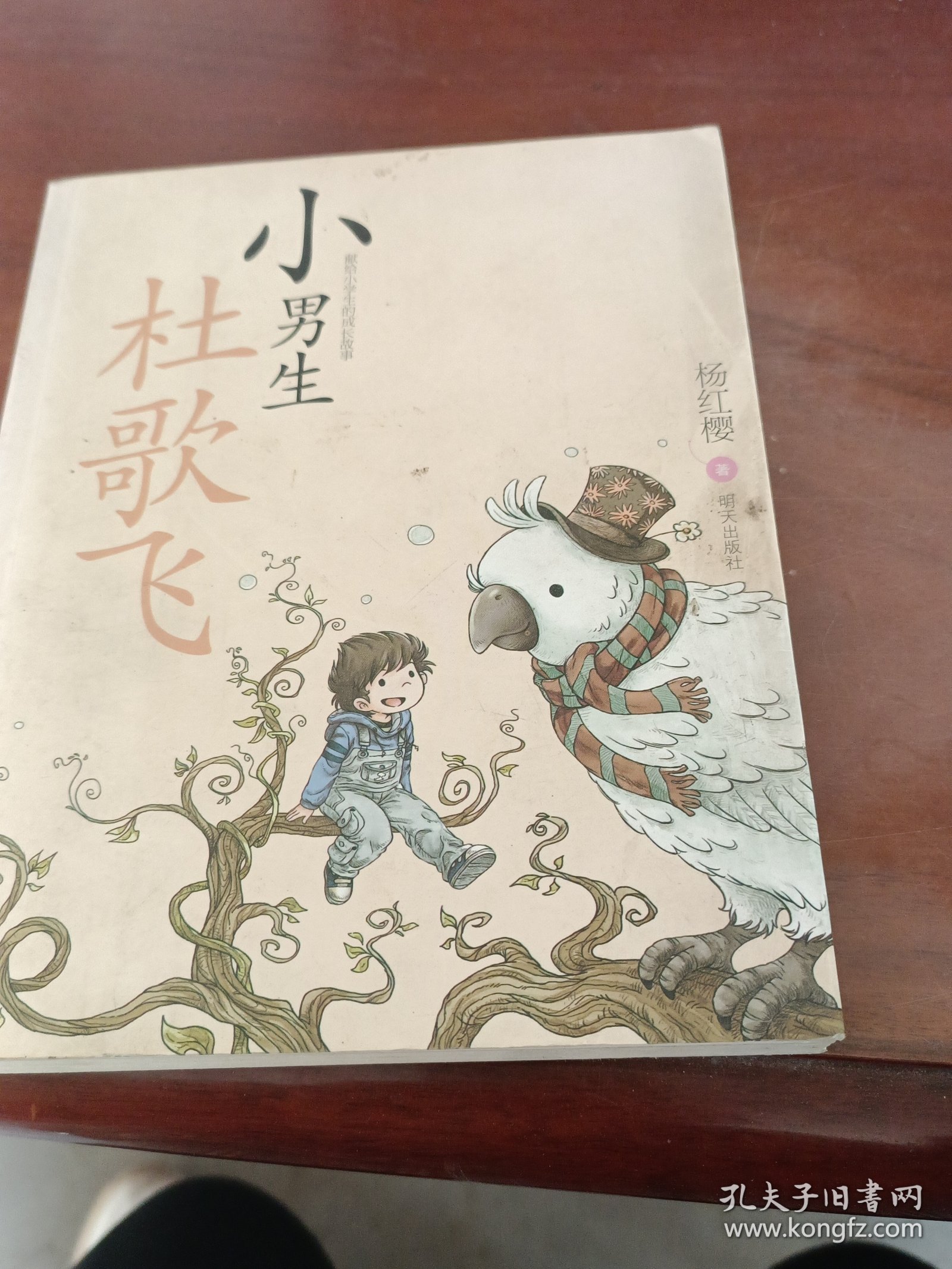 献给小学生的成长故事：小男生杜歌飞