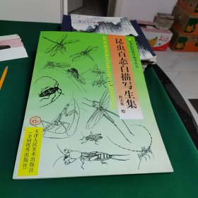 艺术院校教学参考丛书：昆虫百态白描写生集