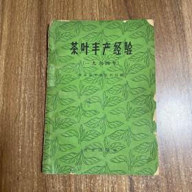 茶叶丰产经验