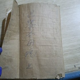 巴黎圣母院上