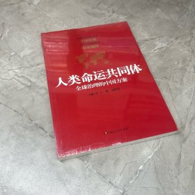 人类命运共同体：全球治理的中国方案