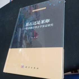 基石还是累卵：经济统计学之于实证研究