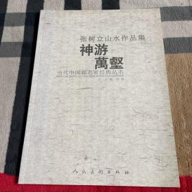 张树立山水作品集  神游万壑：当代中国画名家经典丛书