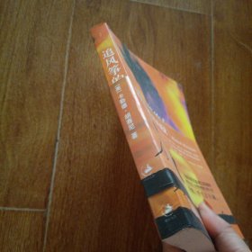 追风筝的人