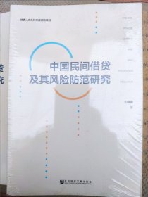 中国民间借贷及其风险防范研究 （王晓娟 著）16开大259页