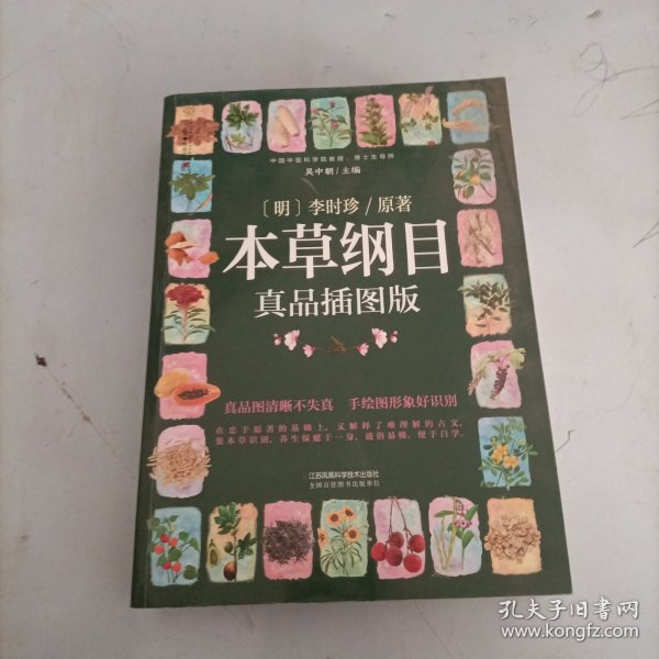 本草纲目：真品插图版（汉竹）