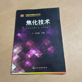 中国洁净煤技术丛书：焦化技术