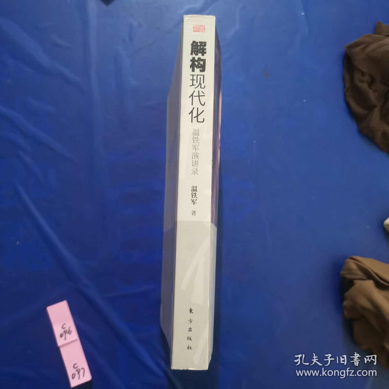 解构现代化：温铁军演讲录