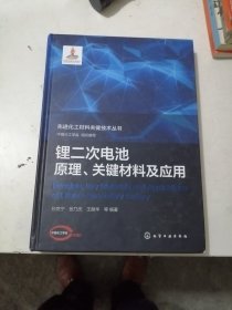 先进化工材料关键技术丛书:锂二次电池原理、关键材料及应用