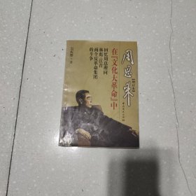 周恩来在“文化大革命”中(增订版)：回忆周总理同林彪、江青两个反革命集团的斗争