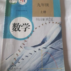 数学九年级上册