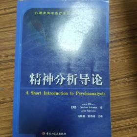 精神分析导论：心理咨询与治疗系列