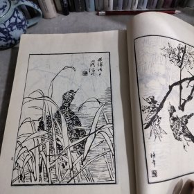 芥子园画谱（人物集、虫草翎毛、梅兰竹菊）三册和售