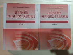 习近平新时代中国特色社会主义思想概论