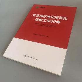 党支部标准化规范化建设工作30例