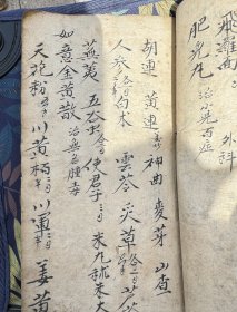 手抄本，医书，药方，字美方俏