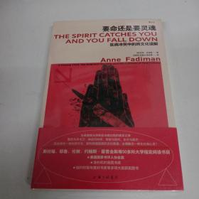 要命还是要灵魂：医病冲突中的跨文化误解