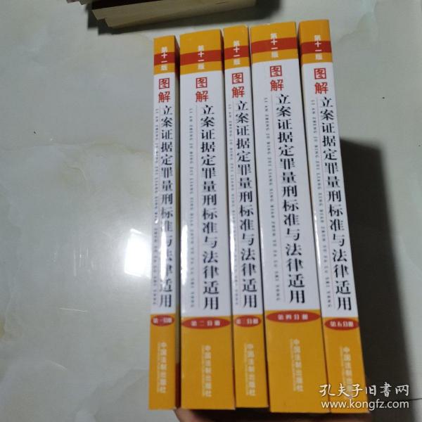 图解立案证据定罪量刑标准与法律适用（第十一版，第二分册）