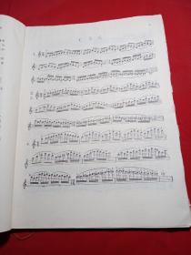 卡尔·弗莱什音阶体系：供每日学习用的
大小调音阶练习
(《小提琴演奏艺术》第一册附录)