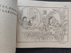 1956年到1967年全国农业发展纲要（草案） 图解