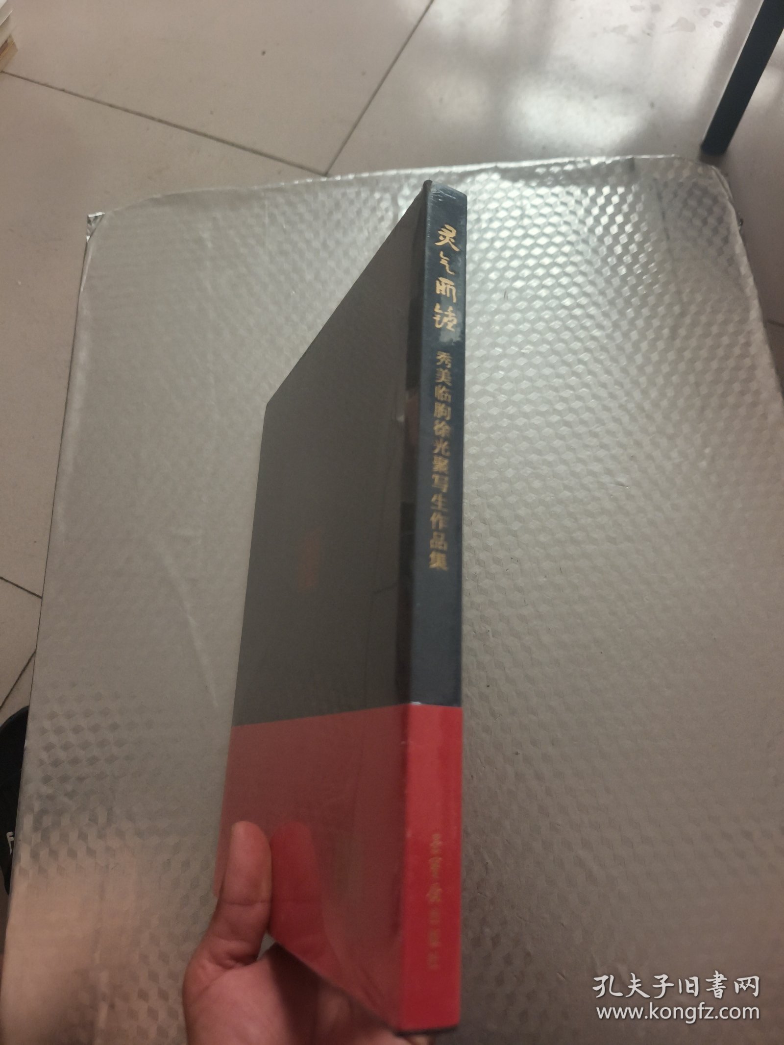 灵气所钟：徐光聚秀美临朐写生作品集