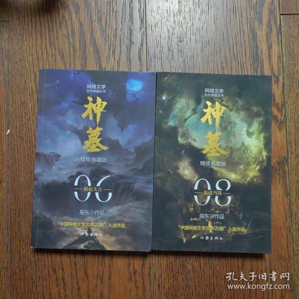 神墓6（精修典藏版）（辰东玄幻小说巅峰代表作“中国网络文学20年20部”入选作品）