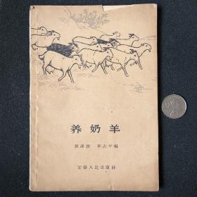 养奶羊