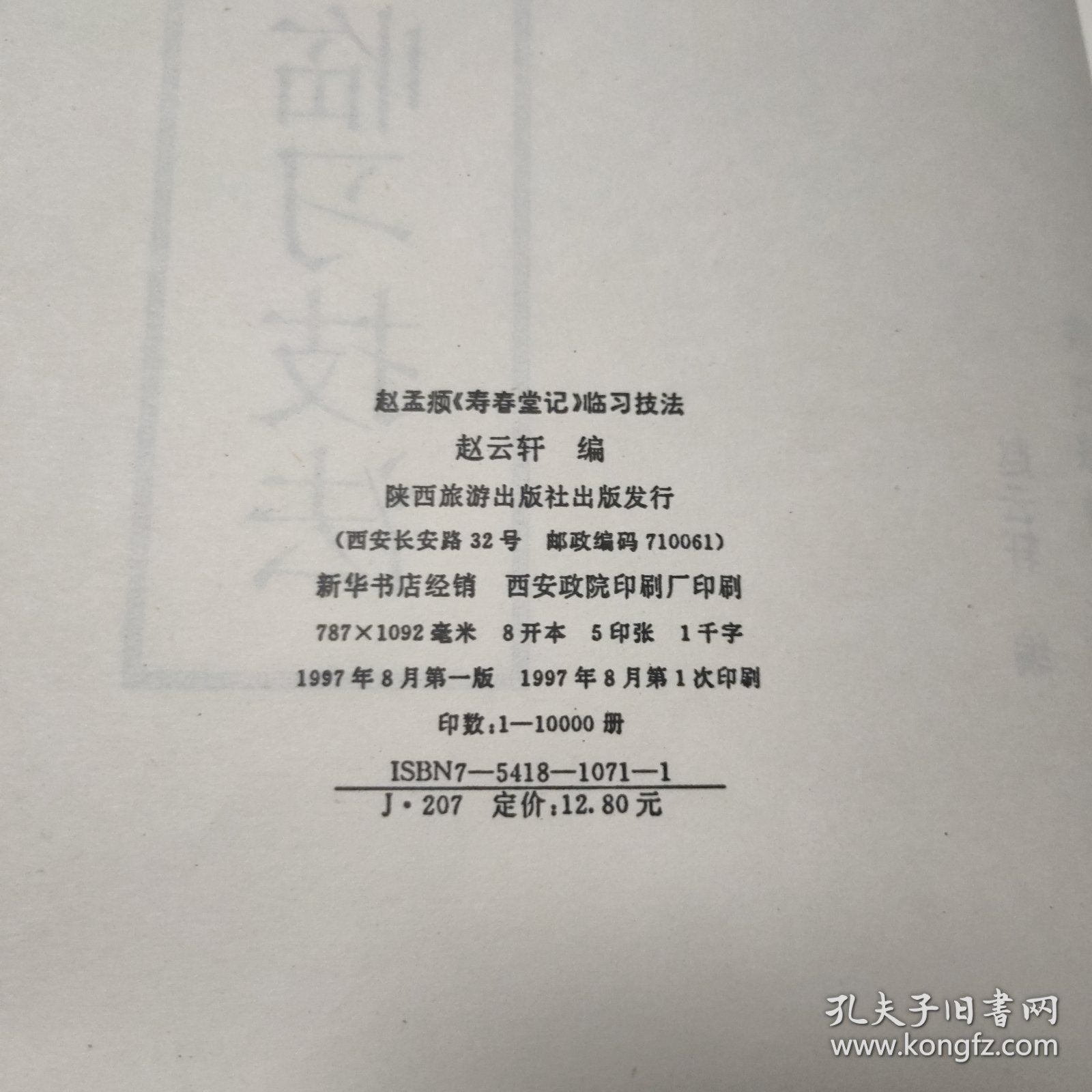 大字墨宝本--赵孟頫寿春堂记临习技法 柳公权玄秘塔碑临习技法（两本）