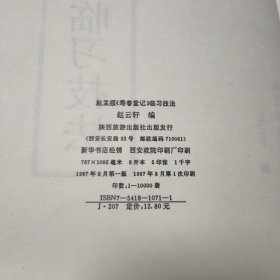 大字墨宝本--赵孟頫寿春堂记临习技法 柳公权玄秘塔碑临习技法（两本）