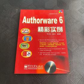 Authorware 6精彩实例（带光盘
）