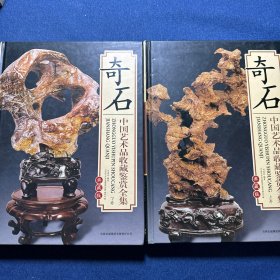中国艺术品收藏鉴赏全集 奇石（上下）