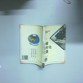 中国城市化之路
