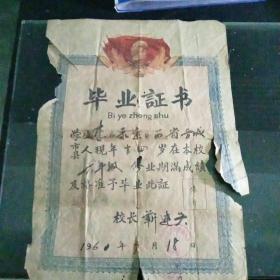 1960年毕业证书C2（143）