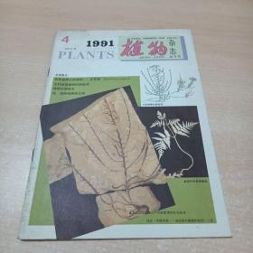 植物杂志双月刊1991年第4期