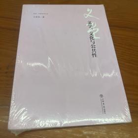 文学、文化与公共性(同济·汉语文学丛书)