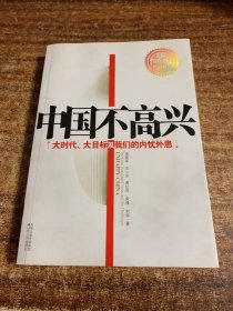 中国不高兴：大时代大目标及我们的内忧外患