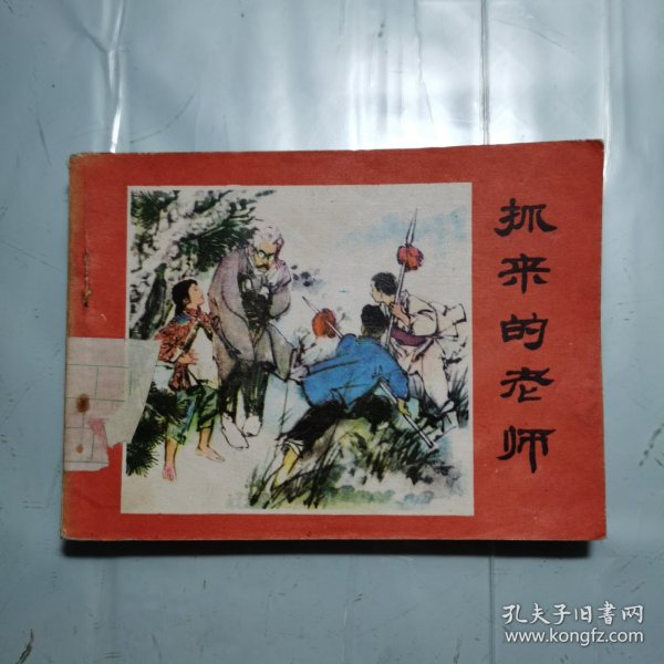 抓来的老师