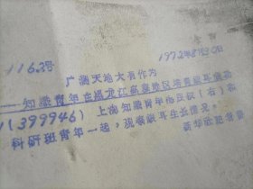 上海知青黑龙江培育木耳银耳，梅民权，柞木椴树，三张