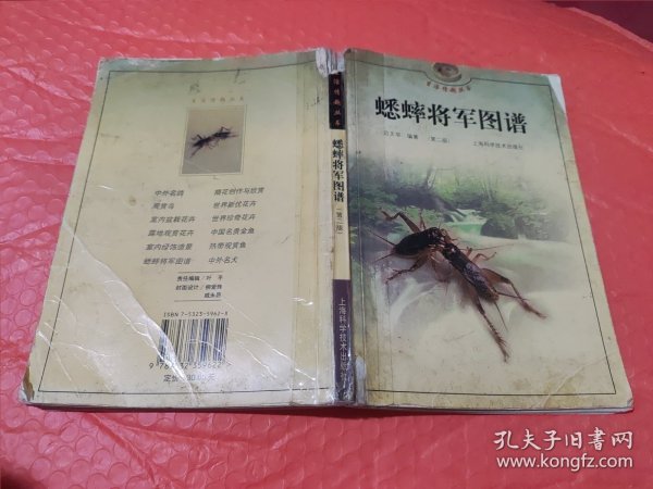 蟋蟀将军图谱