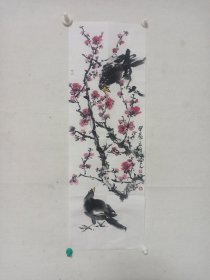 红梅八哥
