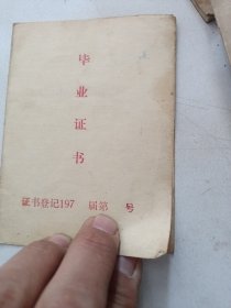 1977年河北省唐山市迁安县初中毕业证一张
