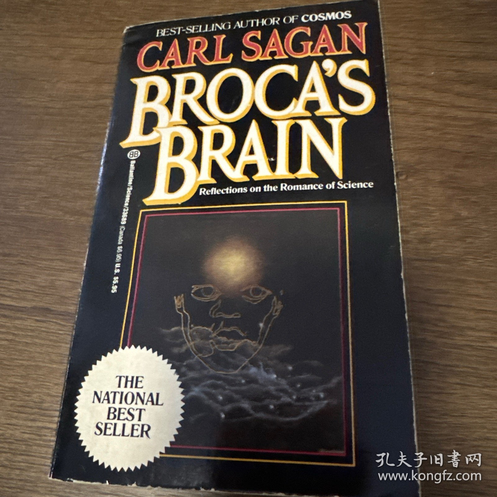 Broca's Brain:Reflections on the Romance of Science
