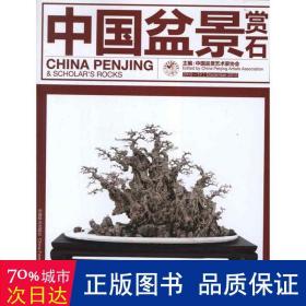 中国盆景赏石(2012-12) 园林艺术 苏放