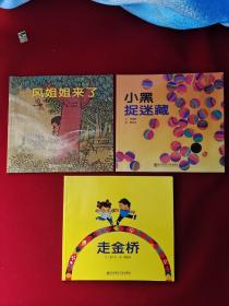 幼儿园早期阅读资源. 幸福的种子. 大班. 下. 风姐
姐来了