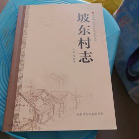 坡东村志