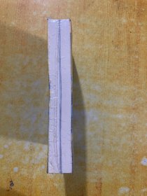 索恩丛书·作家、水手、士兵、间谍 :