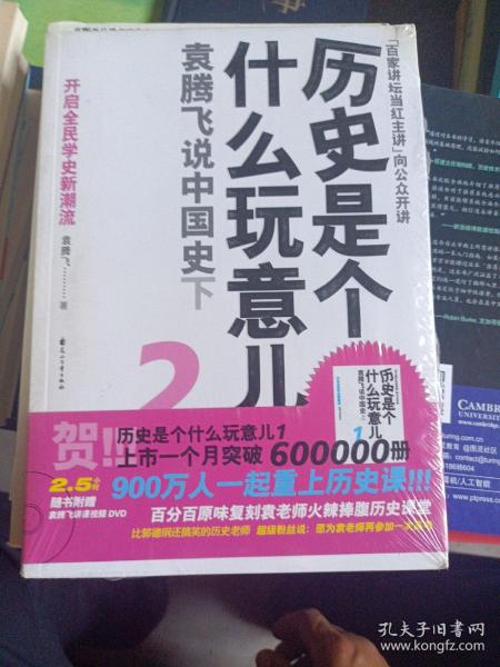 历史是个什么玩意儿2：袁腾飞说中国史下