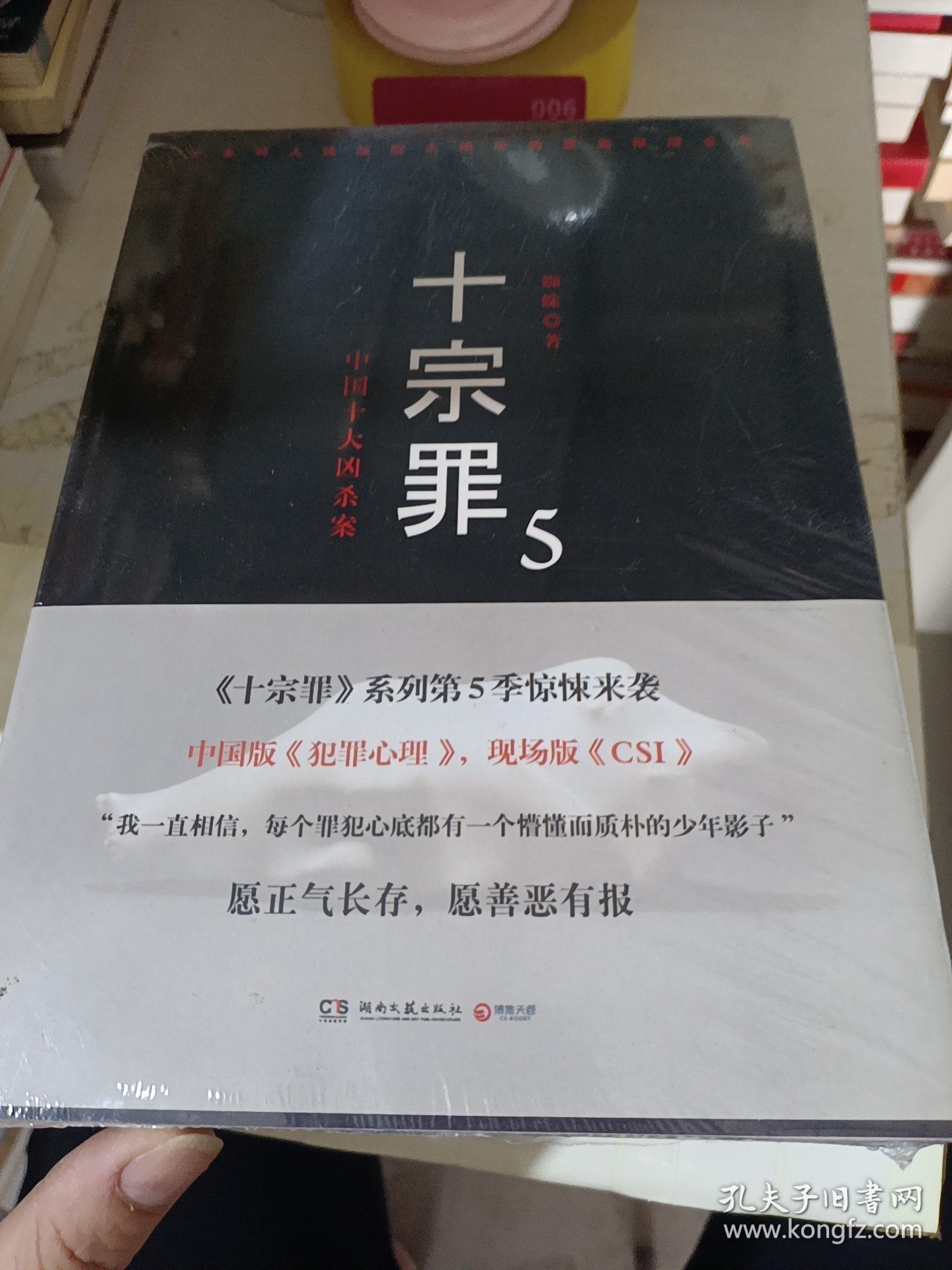 十宗罪5：中国十大凶杀案