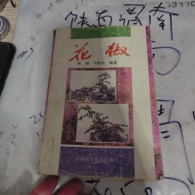 花椒。品相看图。