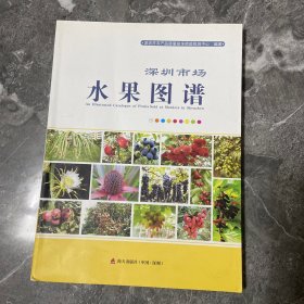 深圳市场水果图谱